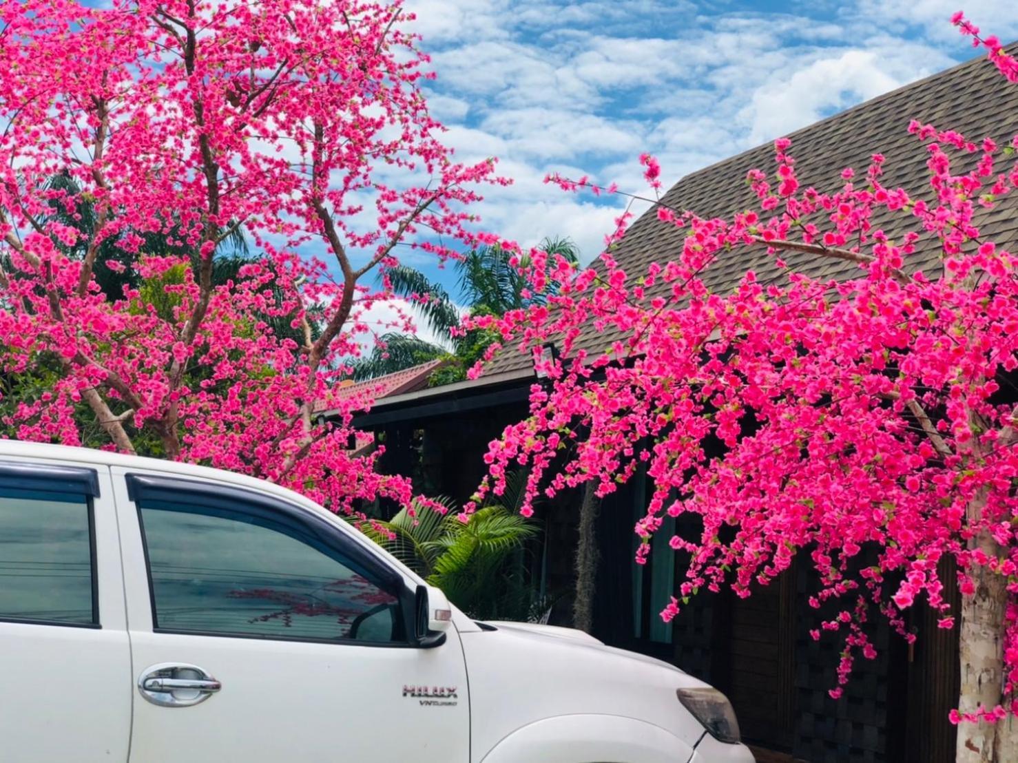 Kob Suk Resort K7 , K10 Sichon Dış mekan fotoğraf