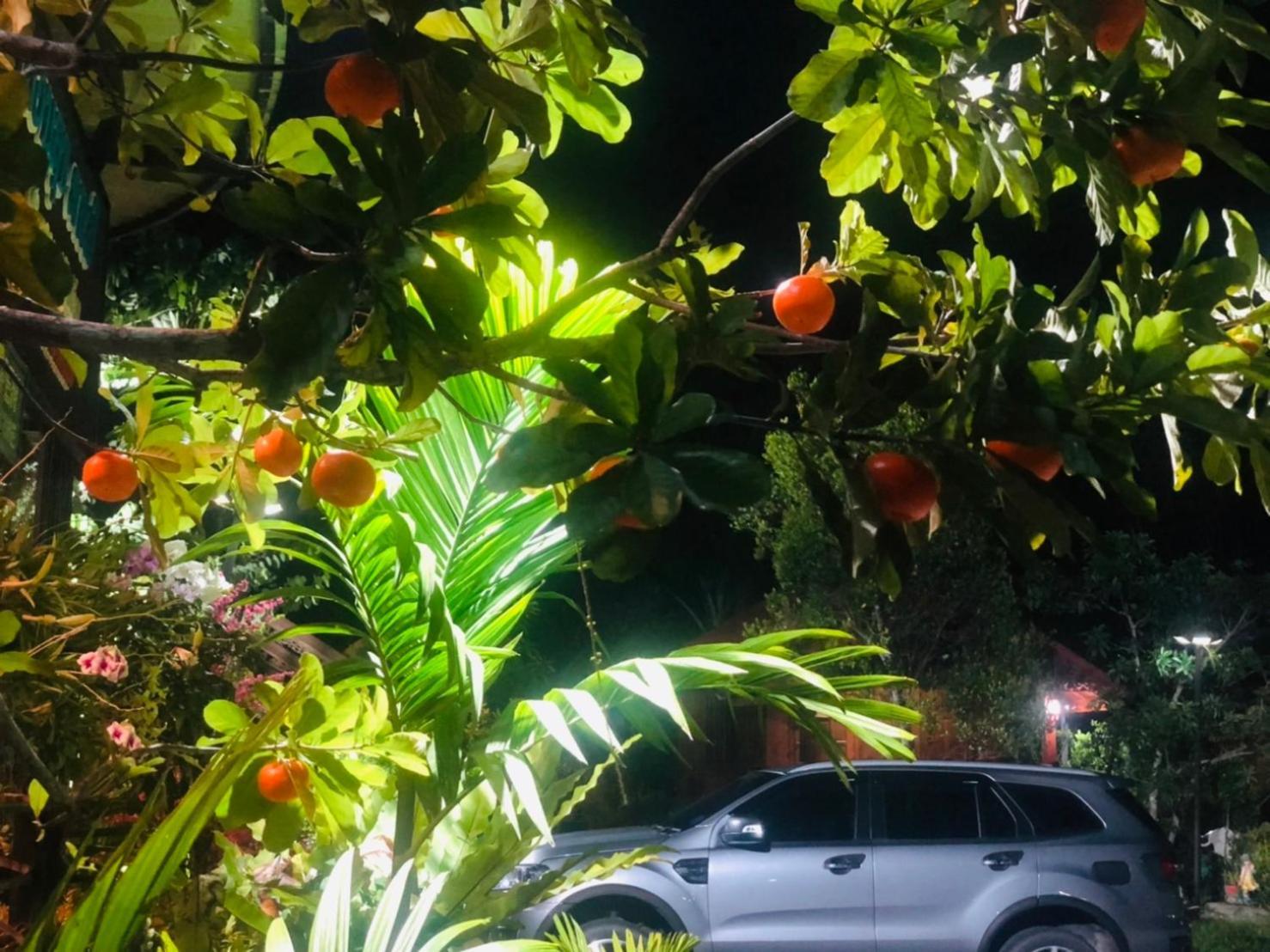 Kob Suk Resort K7 , K10 Sichon Dış mekan fotoğraf