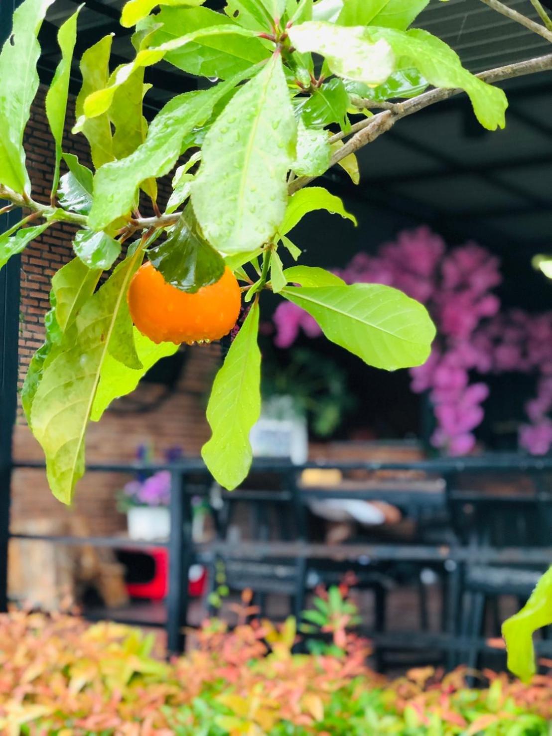 Kob Suk Resort K7 , K10 Sichon Dış mekan fotoğraf